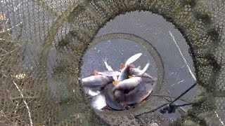 Хитрая китайская снасть сетка как сделать