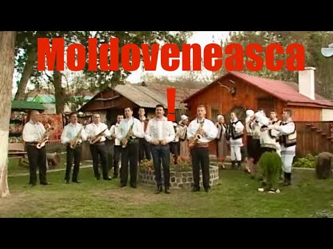 ❌Ionica Ardeleanu ❌Moldoveneasca!!! Am umblat in toata tara‼️ Dedicatie  pentru Vasile Ionescu‼️