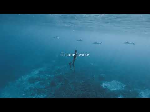 Lorena Leigh - Whales (Lyric Video)