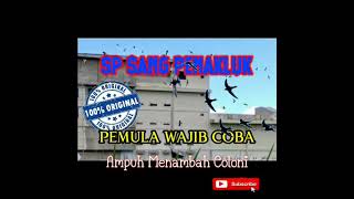 Download lagu SP WALET SANG PENAKLUK, Ampuh Menambah Koloni mp3