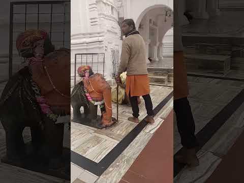 Narmada Kund – The Sacred Source of a Timeless River #hindutemple #narmada #narmadaprikrma  #travel