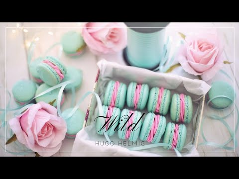 Hugo Helmig - Wild (Lyrics)