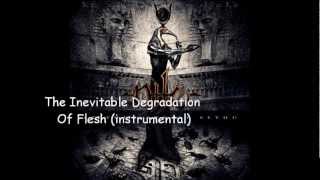 nile   The Inevitable Degradation Of Fleshinstrumental