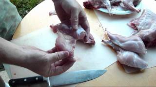 How to Quarter or Disjoint  A Rabbit.  Butchering Rabbit