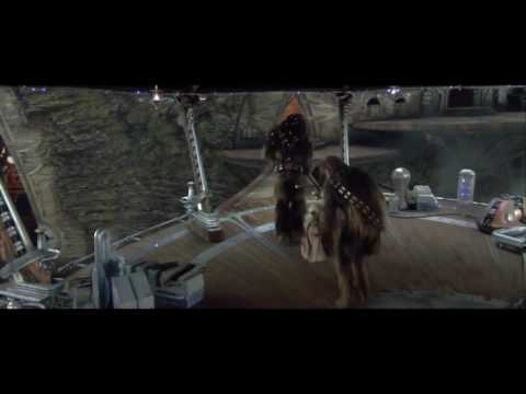 What were the Scout Troopers doing After The Battle Of Kashyyyk?