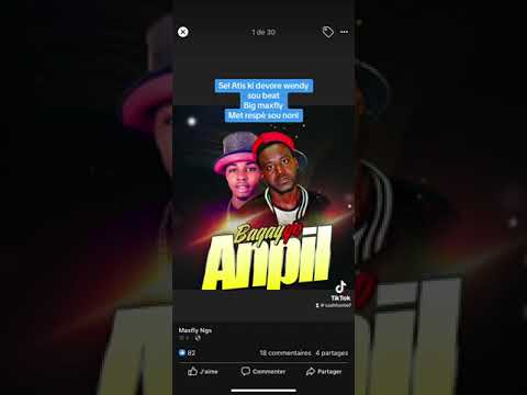 Bagay yo anpil## Big maxfly X wendy