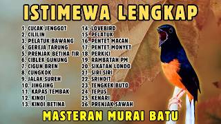 Download lagu 🔴 MASTERAN PANJANG‼️ FULL ISIAN MURAI BATU GACOR mp3 Download lagu 🔴 MASTERAN PANJANG‼️ FULL ISIAN MURAI BATU GACOR mp3