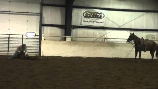 Pal john Klooz Tiedown Calf Roping Horse For sale