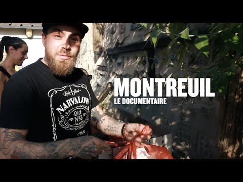 Montreuil, le doc - Swift Guad, le narvalo - Episode 1