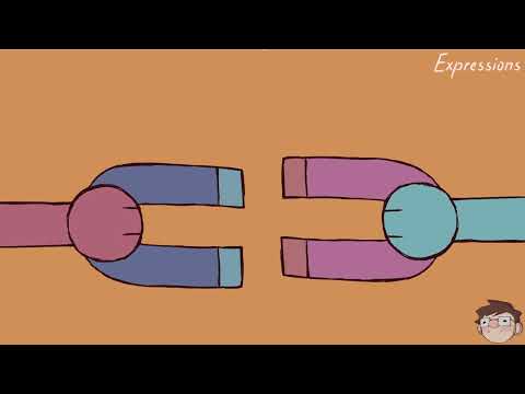 Animation End of Year Combined Showreel 2024