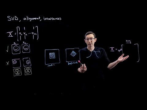 SVD and Alignment A Cautionary Tale