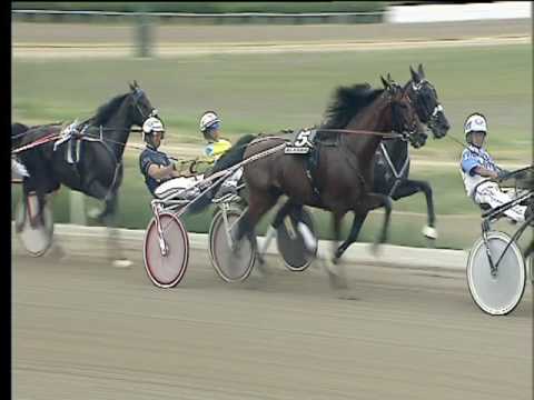 Trotto 22/06/2017 - 7ª corsa