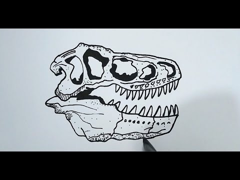 How to Draw a Dinosaur Skull
