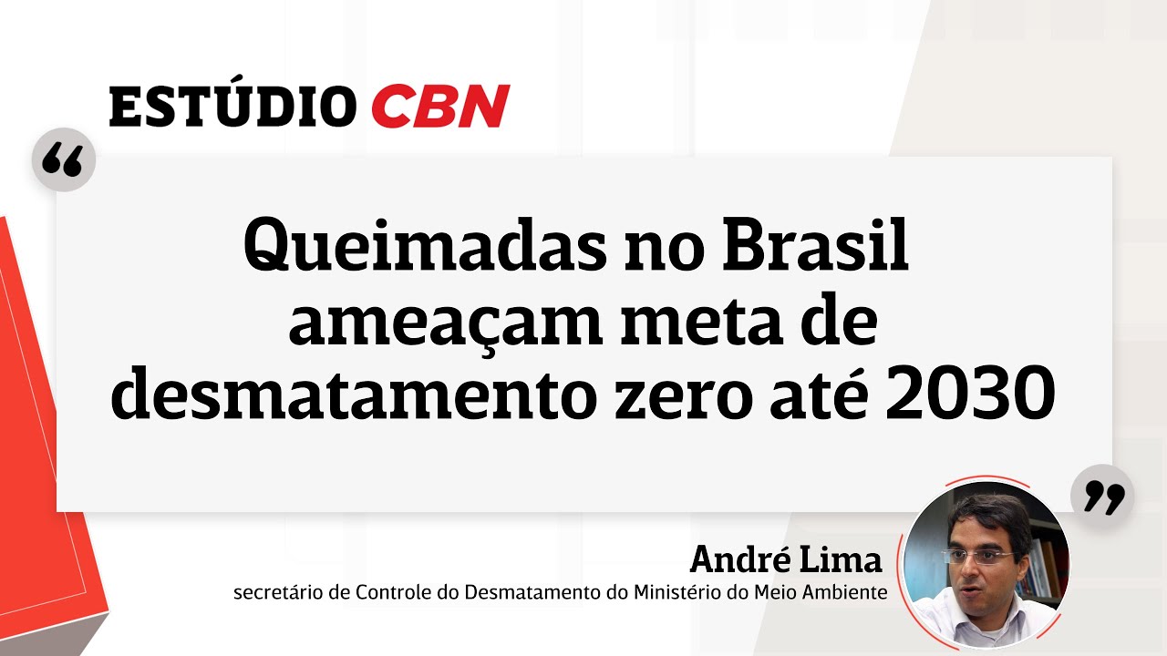 Queimadas no Brasil ameaçam meta de desmatamento zero até 2030, alerta secretário