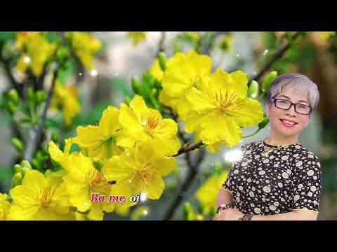 Xuân vắng - Tố Mai