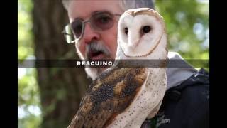 Utopia Wildlife Rehabilitators