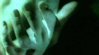 Polvo de Estrellas - Alberto Plaza (con letra) HD