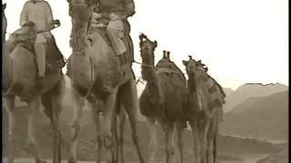 REAL LIVE INDIANA JONES