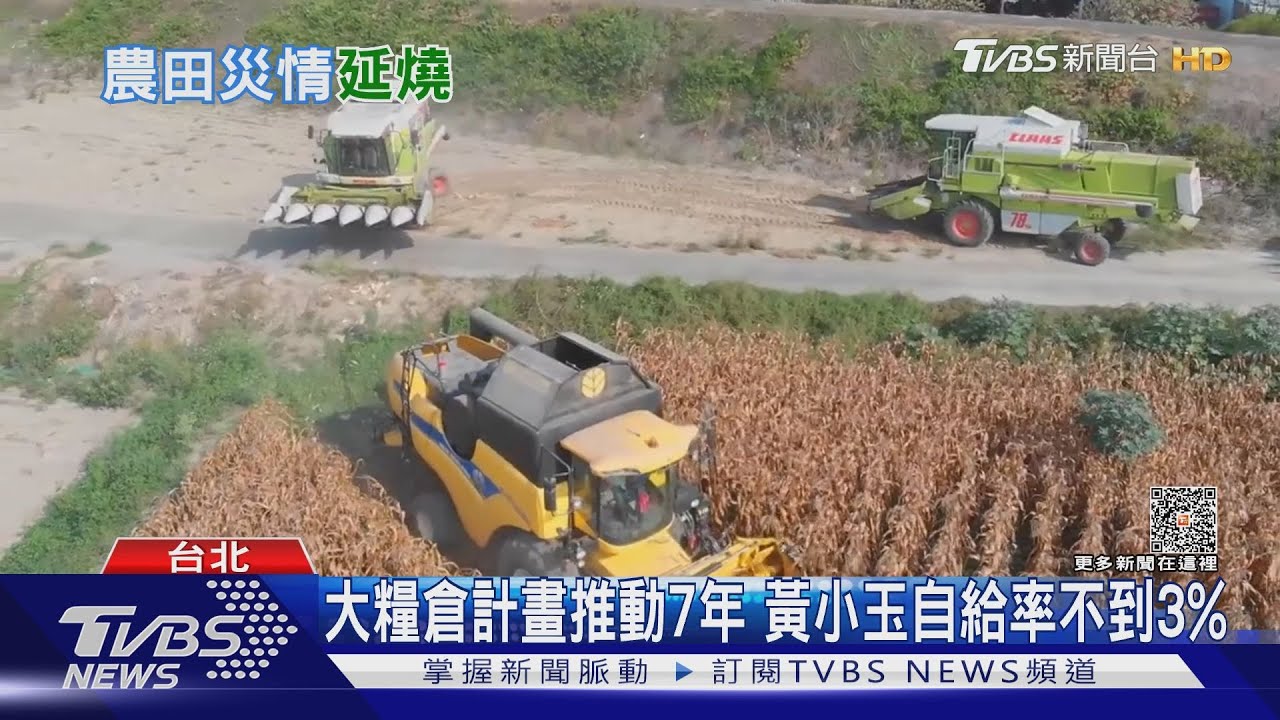 比百年大旱更嚴峻! 乾旱無雨「硬質玉米」連三年減收
