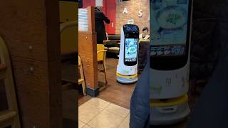 Robot Cat Brings Our Food #shorts #japan #robot
