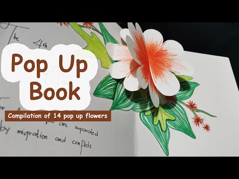 Pop Up Illustration - compilation of 14 pop up flowers