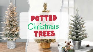 Best Potted Artificial Christmas Trees In 2025 [The 5 Best Ones]