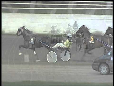 Trotto 04/12/2014 - 3° corsa