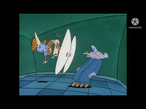 Sound Ideas, CAT, DOMESTIC - 8 ANGRY SNARLS & HISSES, ANIMAL/Image Gallery