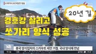쏘가리 양식길 20년 연구 끝에 결실 맺은 '쏘가리 박사'