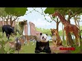 Wild Animals In The World