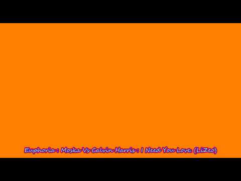 Euphoria : Moska Vs Calvin Harris : I Need You Love (Leo's Mix)