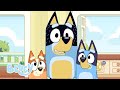 Bandit's Guide to Being a Pretty Good Dad | Bluey