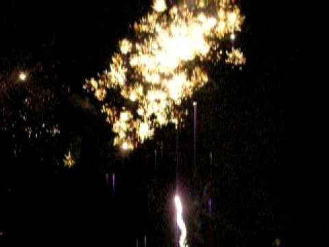 27 Августа 27.08.2010 ( Ziua Independentii 2010)