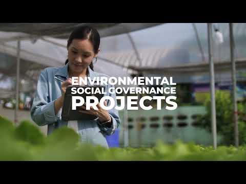 Laconic Overview Video