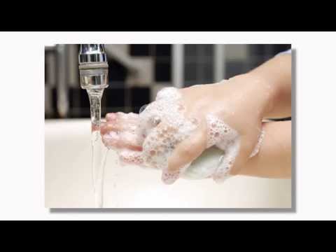 Picnic Food Safety Tips