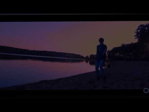 Totally Nothin - 🌹 without thorns