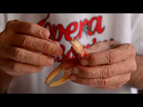 O jeito mais fácil e rápido para comer caranguejo
