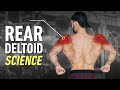 How To Build Boulder Rear Delts: Optimal Training Explained
