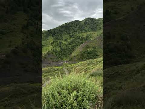 Hiyaay Jo Ga Door by Salman Paras