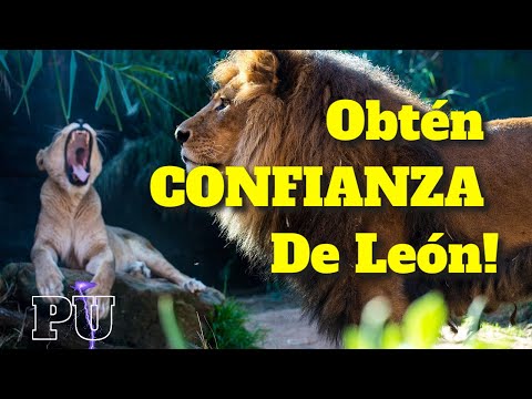 Como mejorar mi autoestima y autoconfianza - Confianza de leon