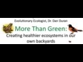 Entomologist And Evolutionary Ecologist Dr Dan Duran Lecturing October 2014 On Bird Town