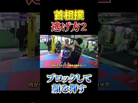 ムエタイ首取りに来たら、カウンター崩しで倒す#muaythai