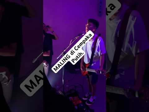 MALING live di Cempaka Putih, Jakarta..#jakartahits #jawabarathits #maling #jawatengahhits #gigs