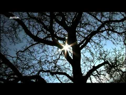 Wer war Johanna von Orleans 1/7