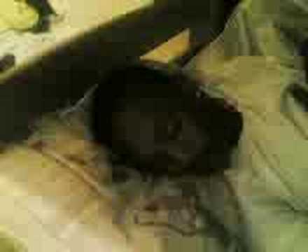 TIAGUINHO LOKAFELLA NA ARRENTELA 2