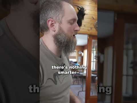 How long should your arrow be??