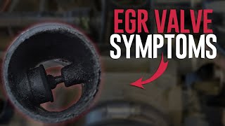 6 Symptoms of a Bad EGR Valve – What It Does and When to Replace It