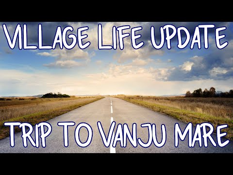 Exploring around our Romanian Village: Shopping Trip to Small City Vanju Mare