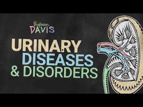 Urinary Diseases & Disorders