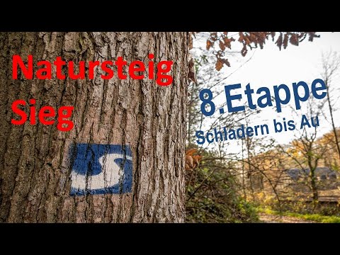 Natursteig Sieg - 8. Etappe - Schladern bis Au wandern.